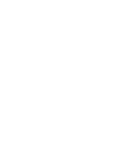 UDR